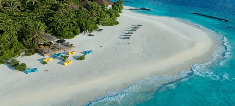 阿瓦尼+安凡尼马尔代夫度假村(Avani+ Fares Maldives Resort)图片