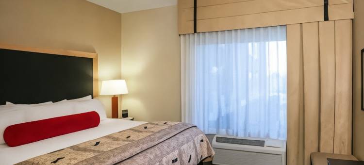 诺布尔斯维尔温德姆酒店(Wyndham Noblesville)图片