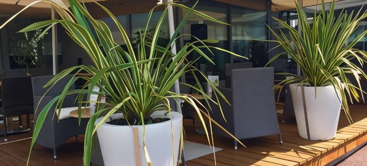 Campanile NATURE – Bordeaux Lac图片