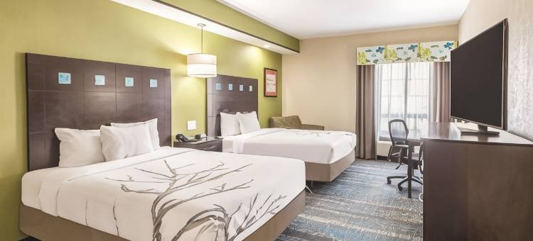 达拉斯大草原城南部拉昆塔温德姆套房酒店(La Quinta Inn & Suites by Wyndham Dallas Grand Prairie South)图片