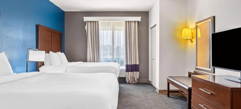 林代尔泰勒北舒适套房酒店(Comfort Suites Lindale)图片