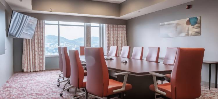 曼凯托希尔顿花园酒店(Hilton Garden Inn Mankato Downtown)图片