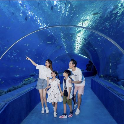 陵水+海南海洋欢乐世界度假区5日4晚拼小团