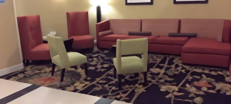 智选假日套房酒店森林(Holiday Inn Express & Suites Forest)图片