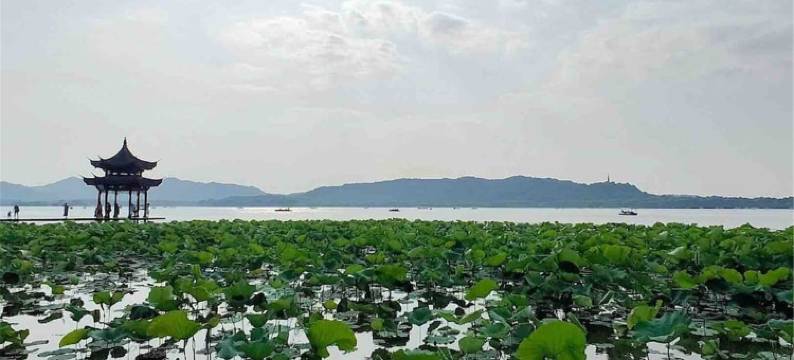 巫巫方公寓(高银街分店)图片