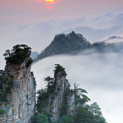 长沙+张家界+凤凰7日6晚私家团