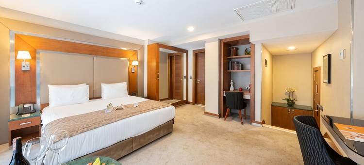 多索多西叶尼卡皮酒店(Dosso Dossi Hotels Yenikapı)图片