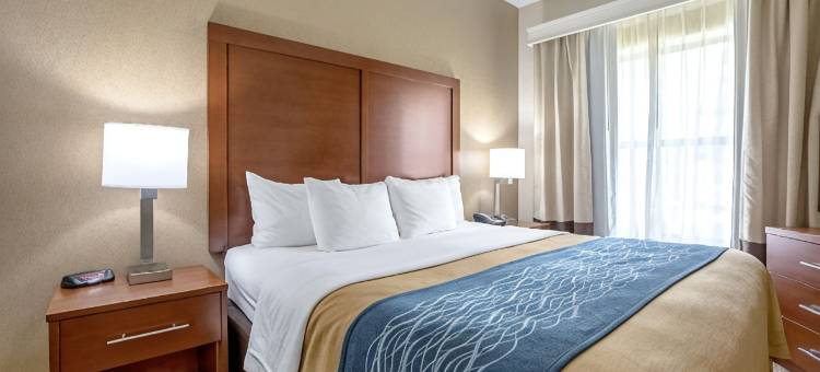 印地安纳波利斯北舒适酒店-卡梅尔(Comfort Inn Indianapolis North - Carmel)图片