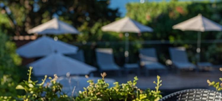 松林酒店(Hôtel la Pinède)图片