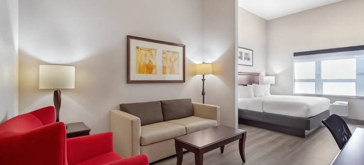 布卢明顿诺莫尔卡尔森江山旅馆套房(Country Inn & Suites by Radisson, Jacksonville West, FL)图片