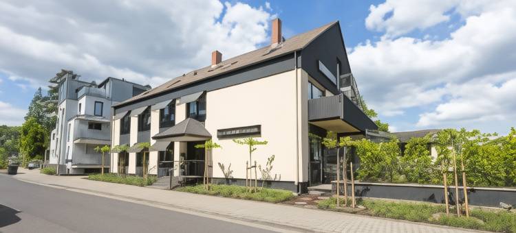 马丁斯贝格酒店(Hotel am Martinsberg)图片