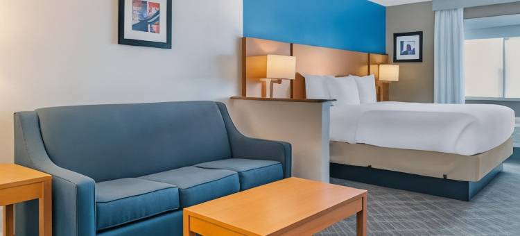 奥本希尔斯舒适套房酒店(Comfort Suites Auburn Hills-Detroit)图片