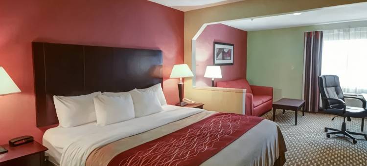 派恩布鲁夫凯艺套房酒店(Quality Inn & Suites Pine Bluff)图片