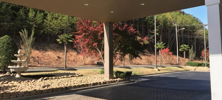 多尔顿丽怡酒店(Country Inn & Suites by Radisson, Dalton, GA)图片