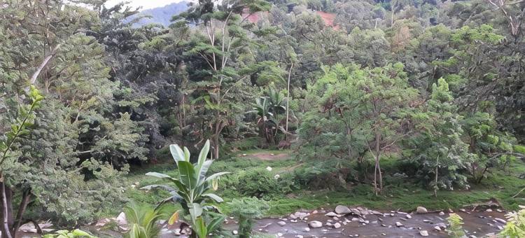阿格罗维萨塔酒店(Hotel Agrowisata)图片
