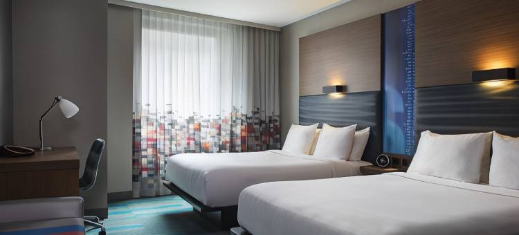 曼哈顿下城金融区雅乐轩酒店(Aloft Manhattan Downtown - Financial District)图片