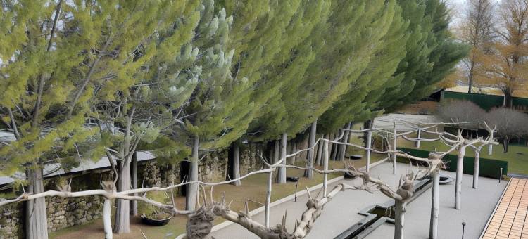 普韦布拉德萨纳夫里亚旅馆(Parador de Puebla de Sanabria)图片