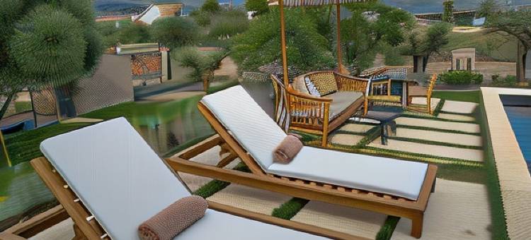 埃拉亚橄榄树丛(Elaia Grove)图片