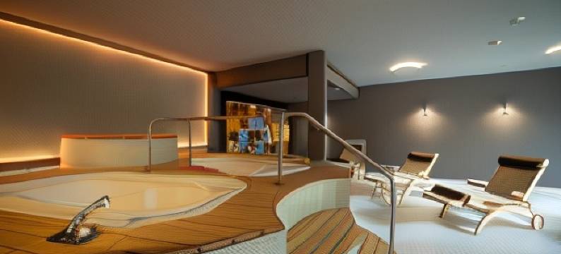 因特拉肯阿尔托斯酒店(Hotel Artos Interlaken)图片