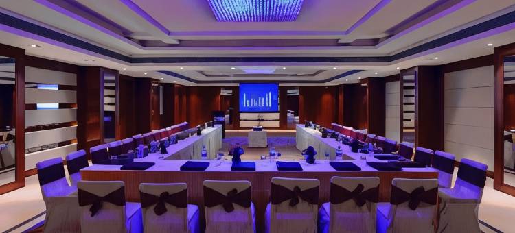 洛茲广场酒店(Lords Plaza Jaipur)图片