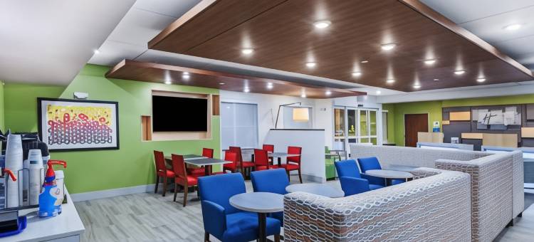 智选假日套房酒店达拉斯路易斯维尔(Holiday Inn Express & Suites Dallas Lewisville)图片