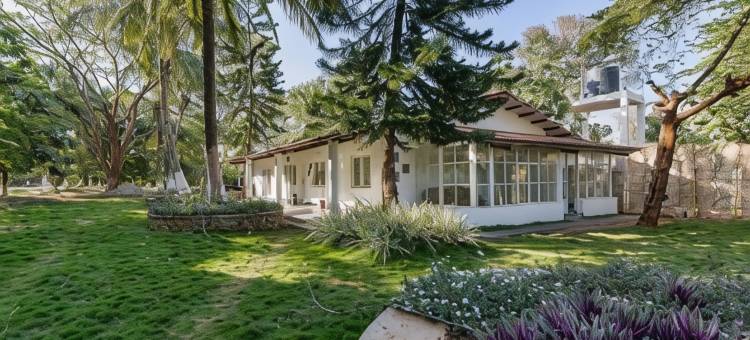 马吉非拉旅馆(The Mangifera)图片