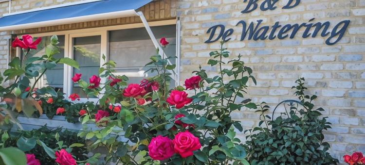 德沃特灵住宿加早餐旅馆(B&B De Watering)图片