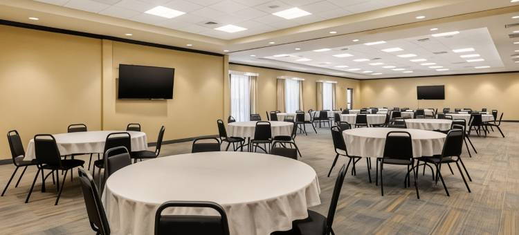 舒适套房酒店(Comfort Suites)图片