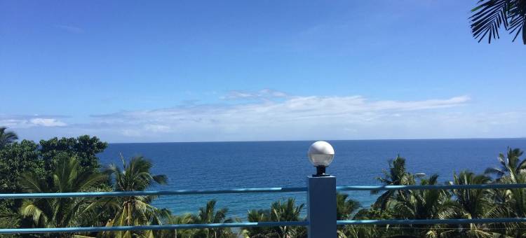 高台阶别墅(High Steps Pension)图片