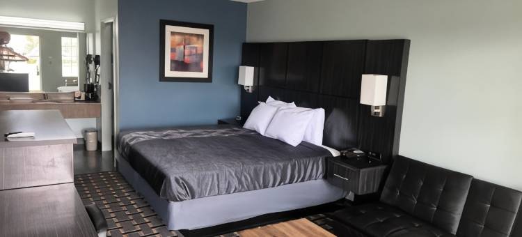 行政酒店(Executive Inn)图片