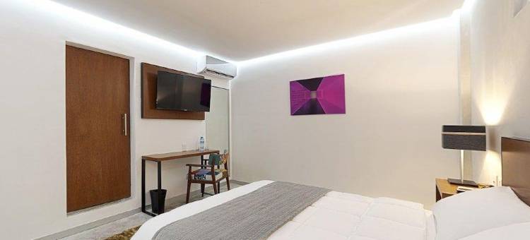 城市101酒店(Hotel Urban 101)图片