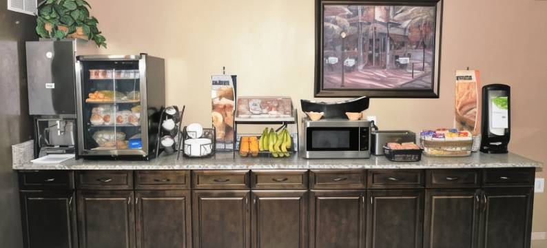 杰克逊维尔机场麦客达温德姆酒店及套房(Microtel Inn & Suites by Wyndham Jacksonville Airport)图片