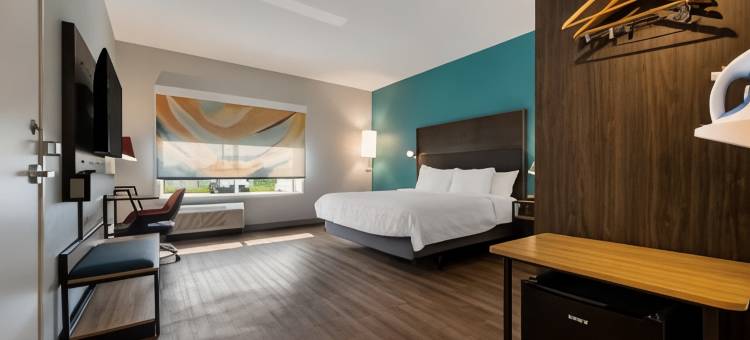 诺维底特律希尔顿特鲁酒店(Tru by Hilton Novi Detroit)图片