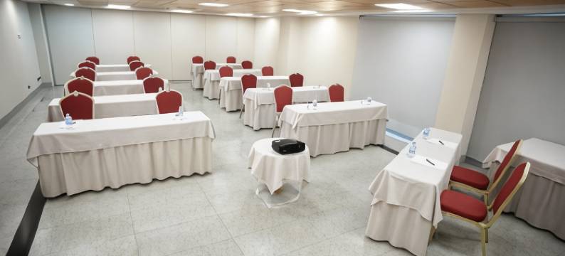 塞尔科蒂尔格兰法玛酒店(Sercotel Gran Fama)图片