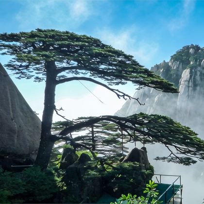 黄山+宏村+西递+婺源5日4晚跟团游