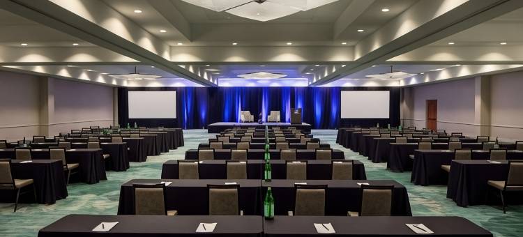 圣彼得堡卡里永希尔顿酒店(Hilton St. Petersburg Carillon Park)图片