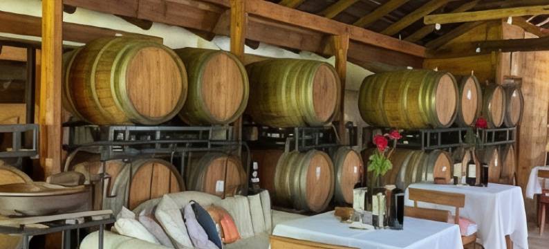 Hotel Boutique Vendimia Parador图片