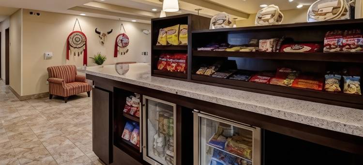 拉皮德城美茵斯坦套房酒店(MainStay Suites Rapid City)图片