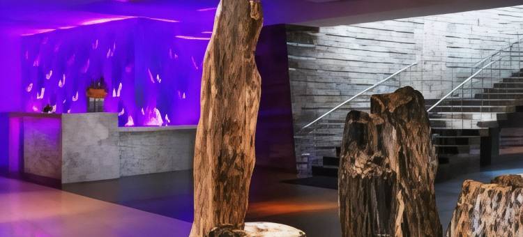 斯科特斯德W酒店(W Scottsdale)图片