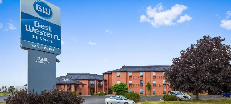 伦敦机场贝斯特韦斯特套房酒店(Best Western London Airport Inn  Suites)图片