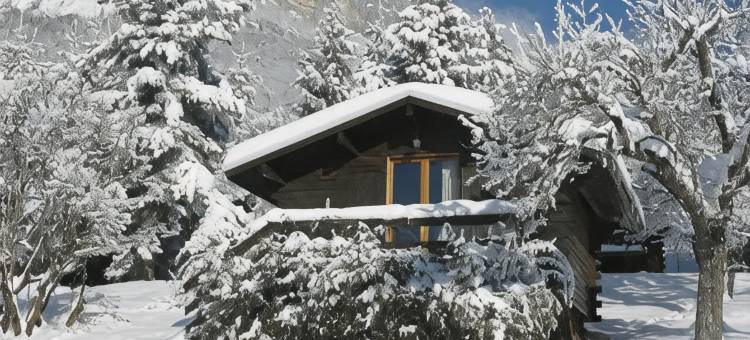 维尤克斯福莱恩旅馆(Chalets du Vieux Frêne)图片