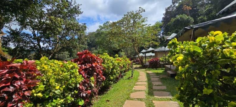 三山酒店-库格(Three Hills Resort Coorg)图片