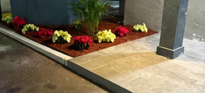 摄政旅馆(Regency Inn)图片