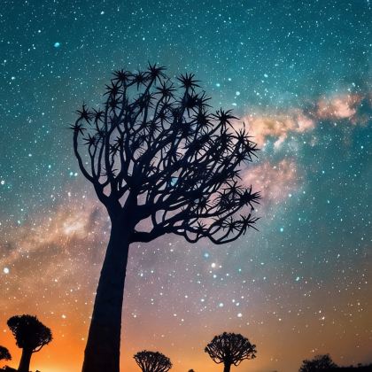 纳米比亚鲸湾港+博茨瓦纳乔贝国家公园+津巴布韦+维多利亚瀑布+赞比亚11日8晚私家团