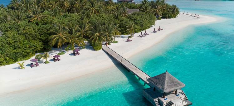 纳拉杜私人岛屿马尔代夫(Naladhu Private Island Maldives)图片