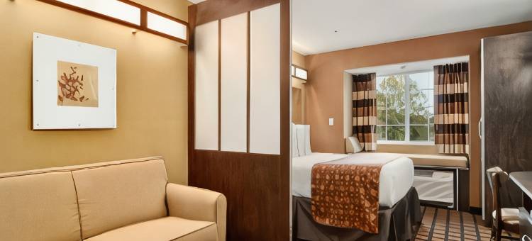 布达-奥斯汀南麦客达温德姆套房酒店(Microtel Inn & Suites by Wyndham Buda Austin South)图片