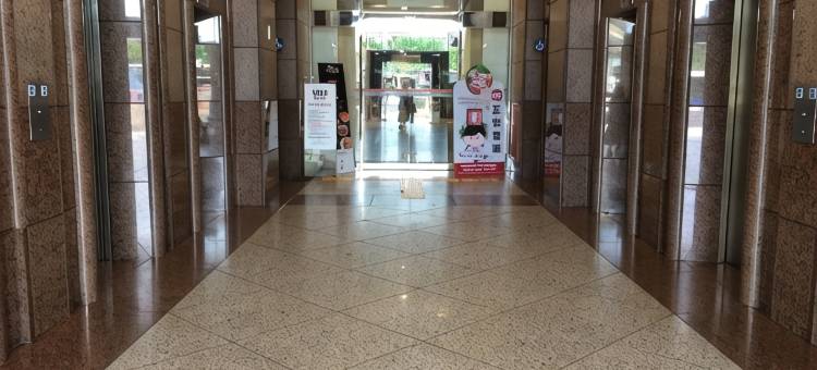 日光拾玖图片