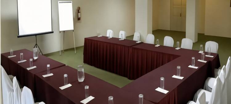 旧金山伊拉普阿托商务酒店(Hotel San Francisco Irapuato Business Class)图片