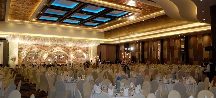 阿里斯塔帕拉姆邦酒店(The Arista Hotel Palembang)图片