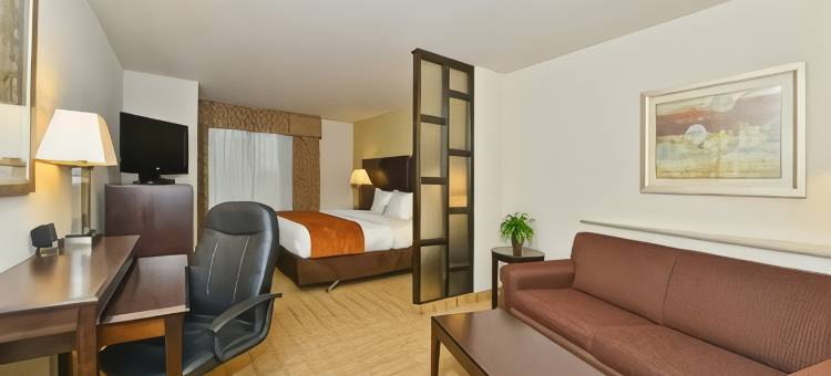 舒适套房酒店(Comfort Suites)图片